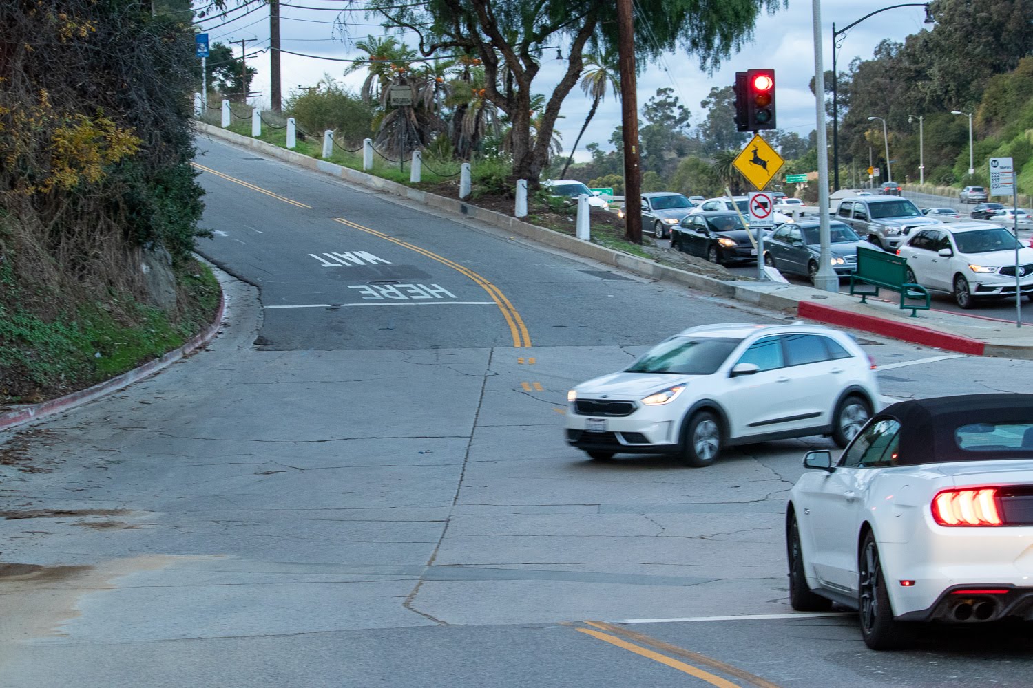 Albuquerque, NM – Car Crash Results in Injuries at Lomas & Tramway Blvd