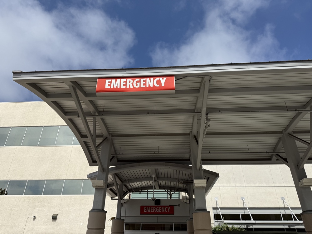 Las Cruces, NM – Man Injured in Dog Attack on S Valley Dr