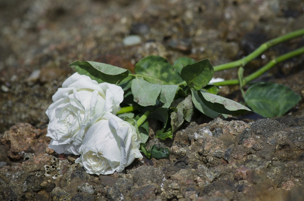 Lybrook, NM – Fatal Hit-and-Run Causes Delays on US-550 Near MM 106